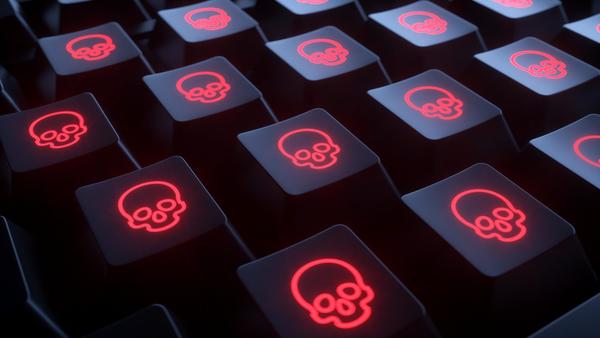 Ransomware class action suits have been described as a%u201Ctwo-headed monster%u201D where the victim of a ransomware attack faces litigation exposure for failing to do more to prevent the attack