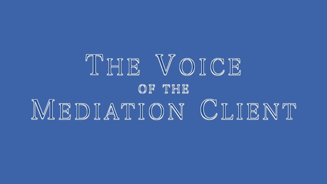 The Voice of the Mediation Client