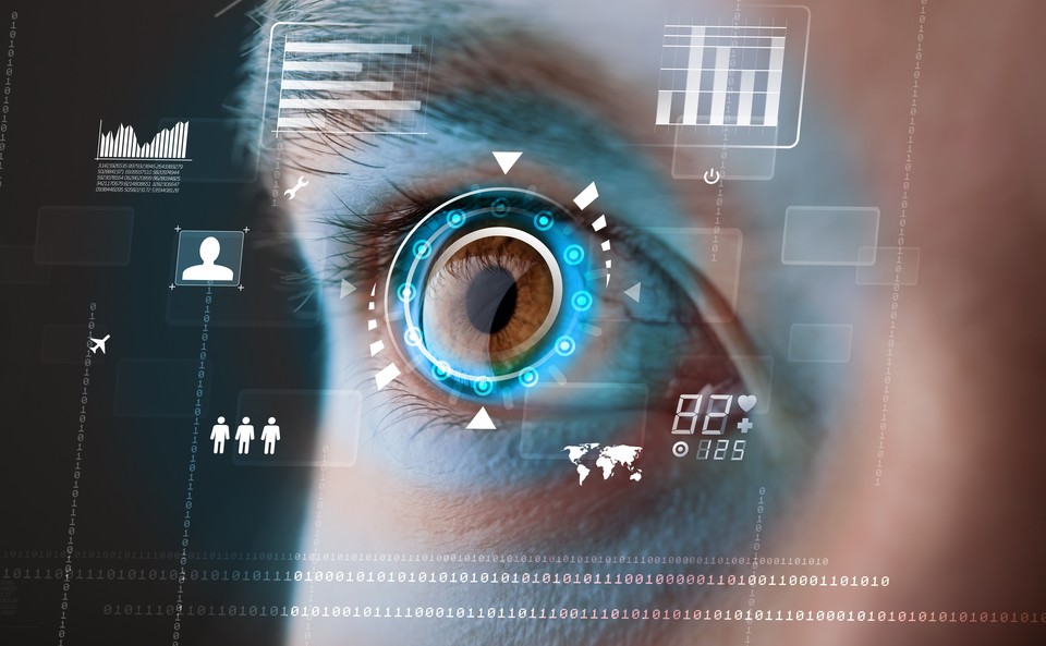 Biometric data are biological measurements or physical characteristics that can be used to identify individuals.